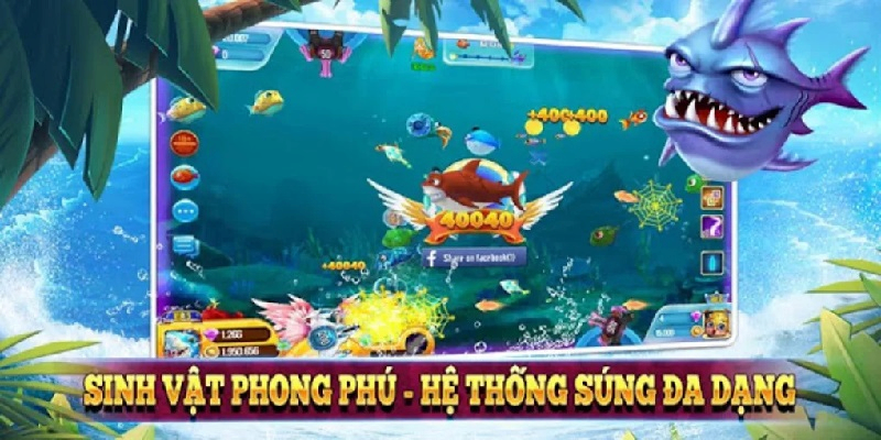 Kinh nghiệm chơi bắn cá từ cao thủ 77ball thắng lớn